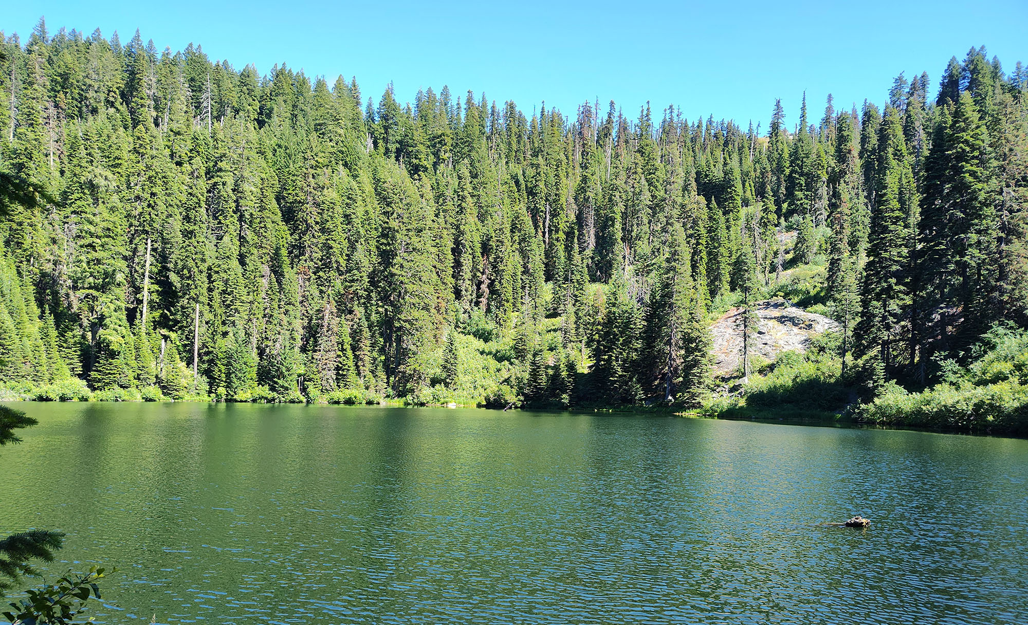 Trail: Miller Lake